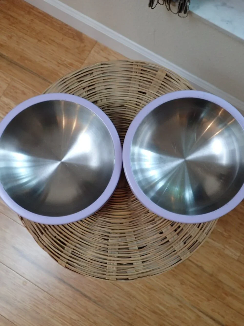 Wild One Stainless Steel Dog Bowl & Mat Lilac/Lavendar